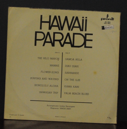hawaii_parade_6